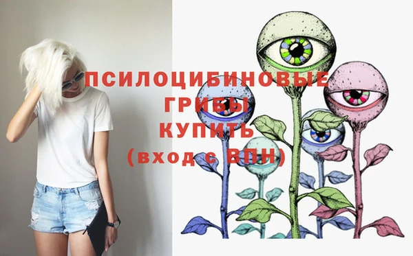 mix Арсеньев
