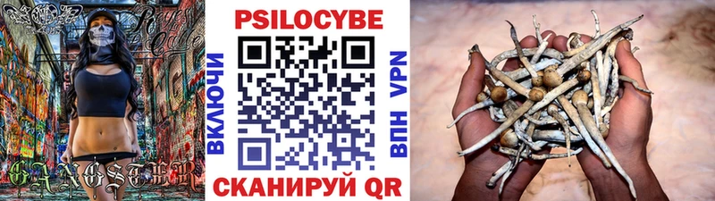 Псилоцибиновые грибы мухоморы Сурск