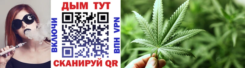 kraken ТОР  Сурск  Бошки Шишки THC 21%  что такое  